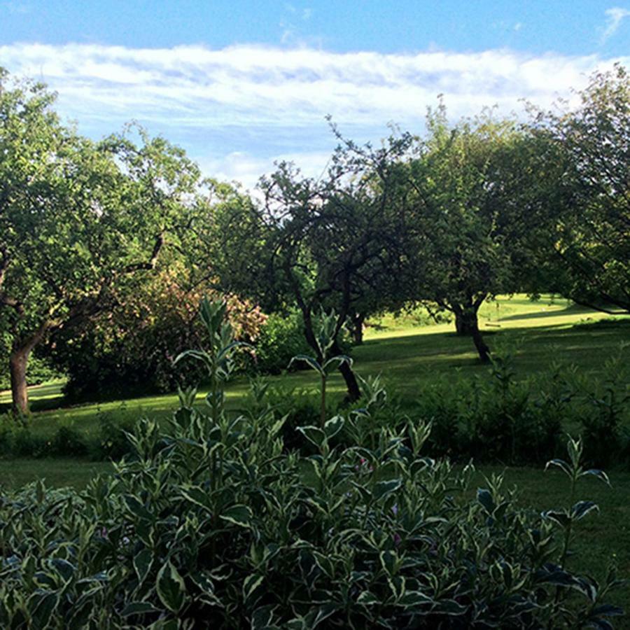 Beechfield Cottages Meopham  Екстериор снимка